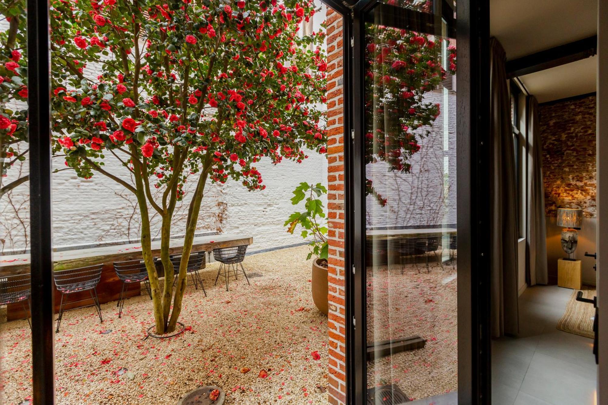 Btfl Living Antwerp Διαμέρισμα Εξωτερικό φωτογραφία