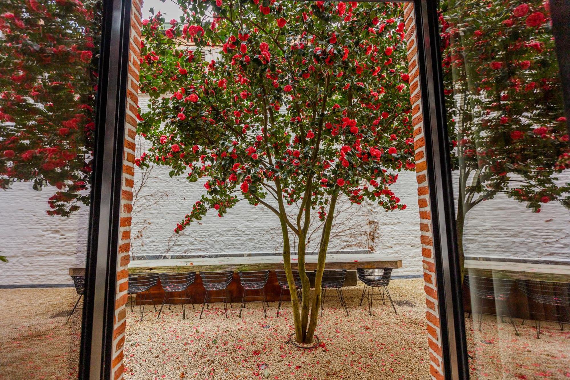 Btfl Living Antwerp Διαμέρισμα Εξωτερικό φωτογραφία